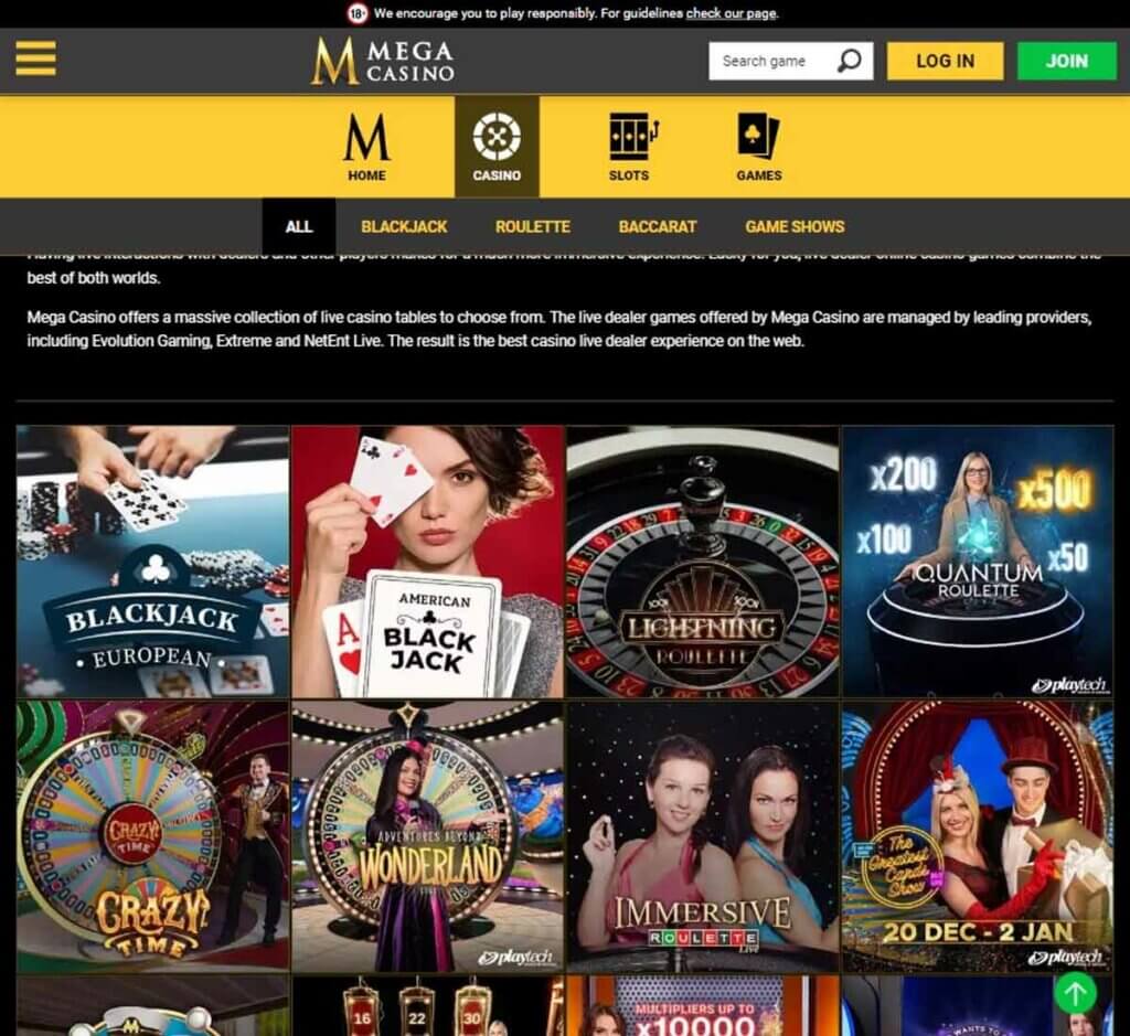 Mega Casino Desktop preview 2