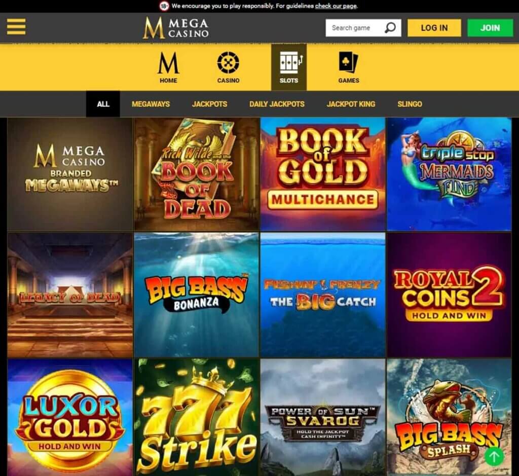 Mega Casino Desktop preview 1