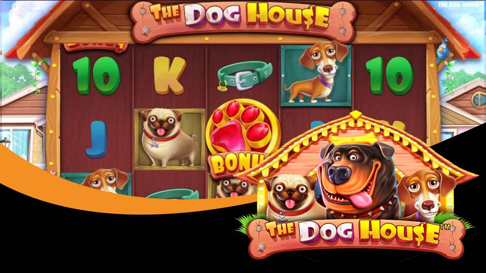 The Dog House - For the Pet Lovers